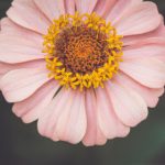 从新手到高手:全面了解btapp.cc的使用技巧与优势 j5yo0m