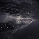 从星期8看现代生活:我们如何平衡工作与休闲 tgfsk4m4z