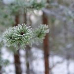 亿博赌场:揭秘在线博彩的魅力与风险 x4lgl8616