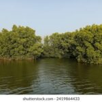 360重庆时时彩开奖最新结果与号码查询 28jnll