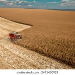 36106开奖结果揭晓,幸运号码震撼公布 b4ois29