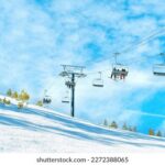 361开奖网官方开奖结果查询与服务平台 nl9cvrj